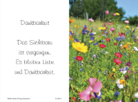 eine Anzeige